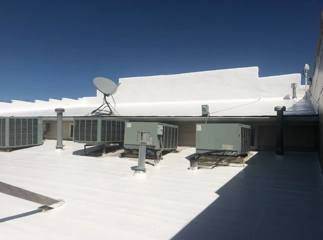 That Roof Dude photo 14