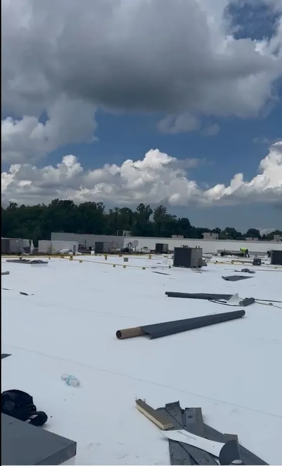 That Roof Dude photo 15