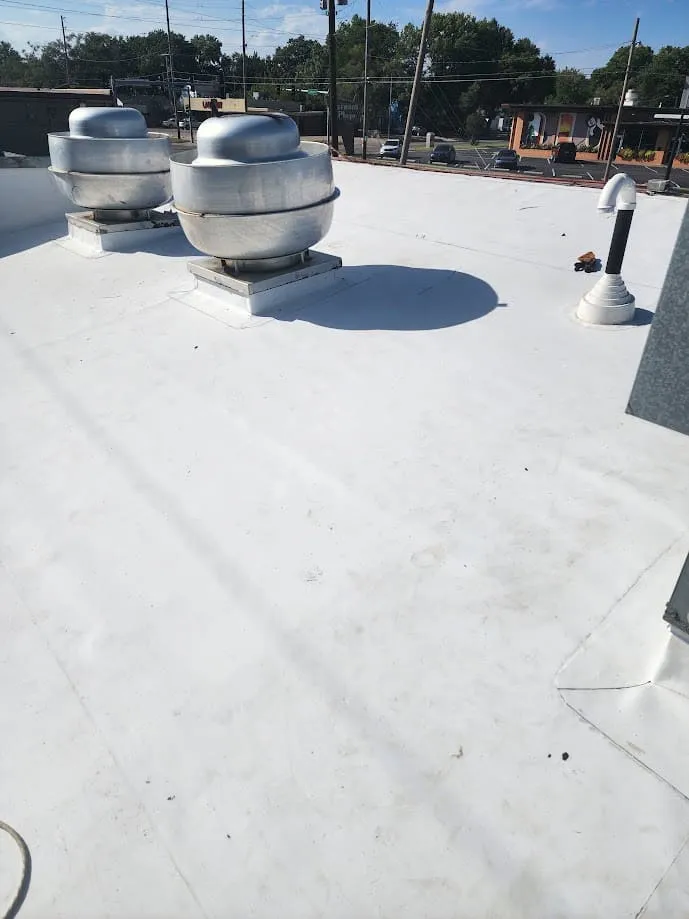 That Roof Dude photo 13