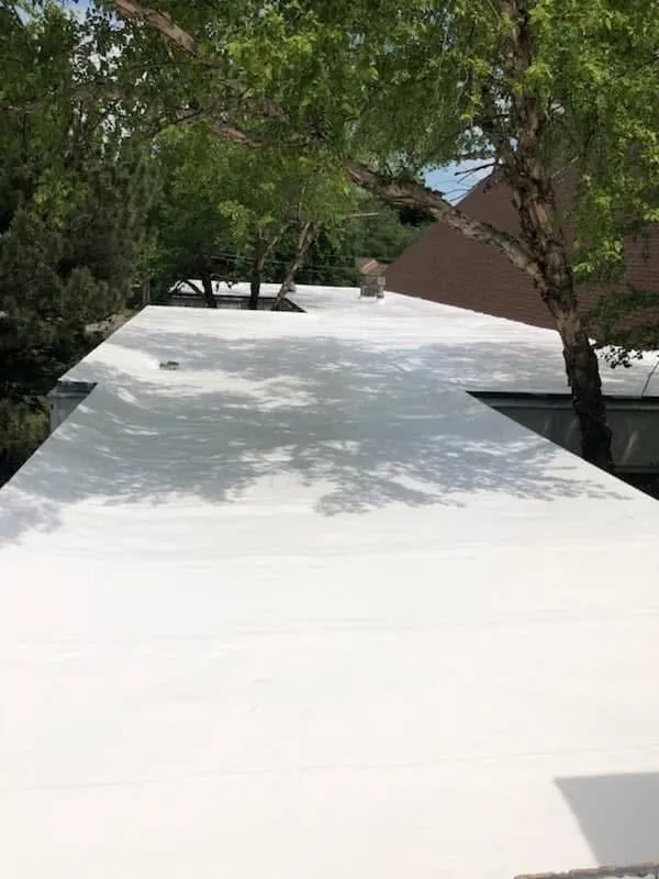 That Roof Dude photo 12