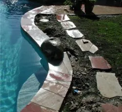 Avanti Pools, Inc. photo 4