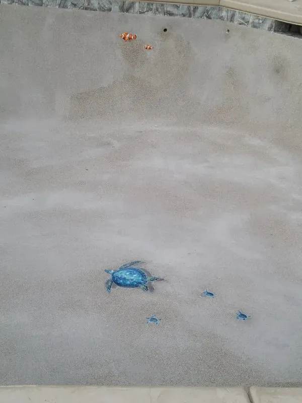 Sunset Pools and ponds photo 8