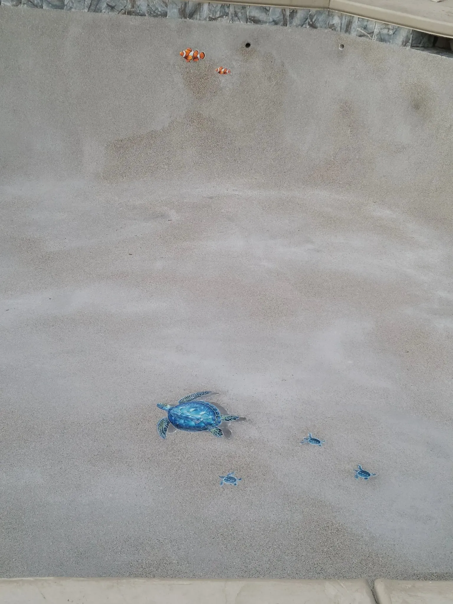 Sunset Pools and ponds photo 4