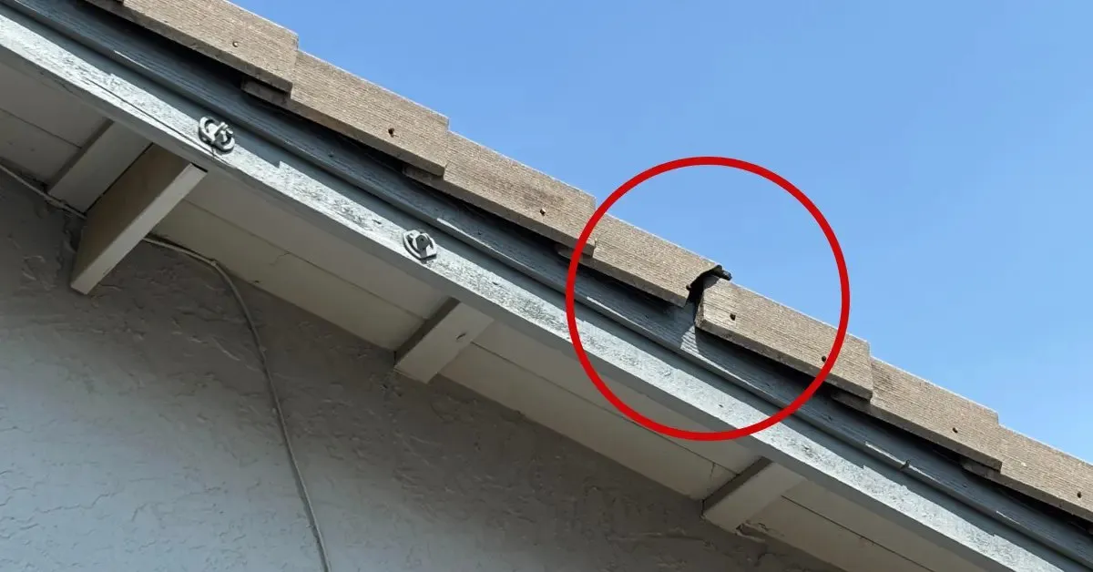 Straight Line Roofing & Construction photo 3