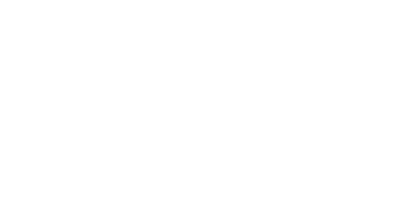 Handyman Roofing logo