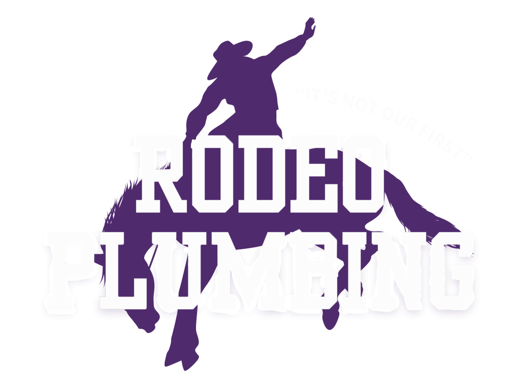 Rodeo Plumbing of Atlanta logo