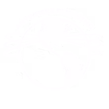 Anywhere Plumbing Repair logo