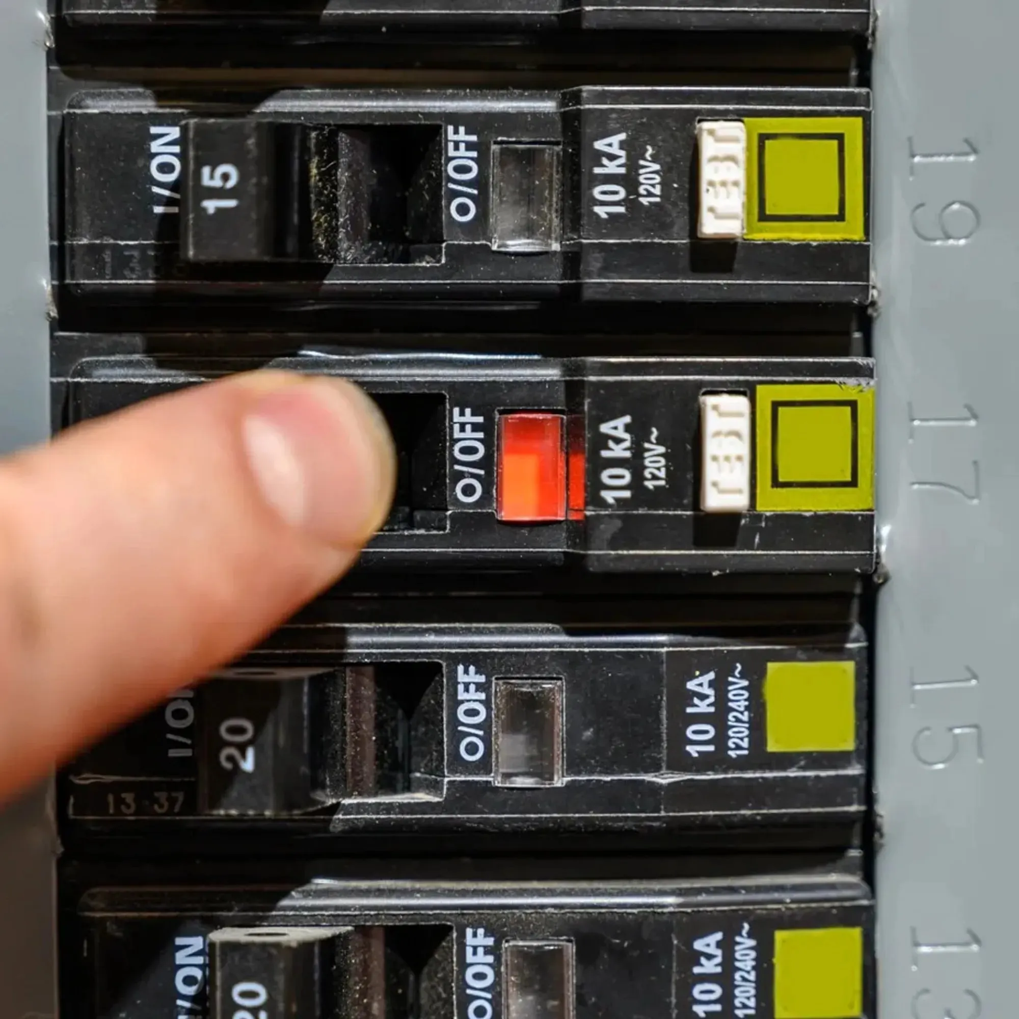 Eco Electric photo 4