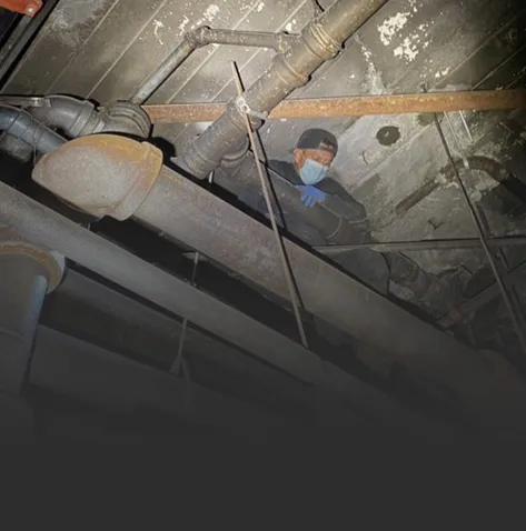 Red Lilly Plumbing photo 15