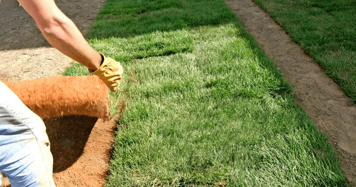 ON Services Mechanical, Electrical, Plumbing, & HVAC photo 3