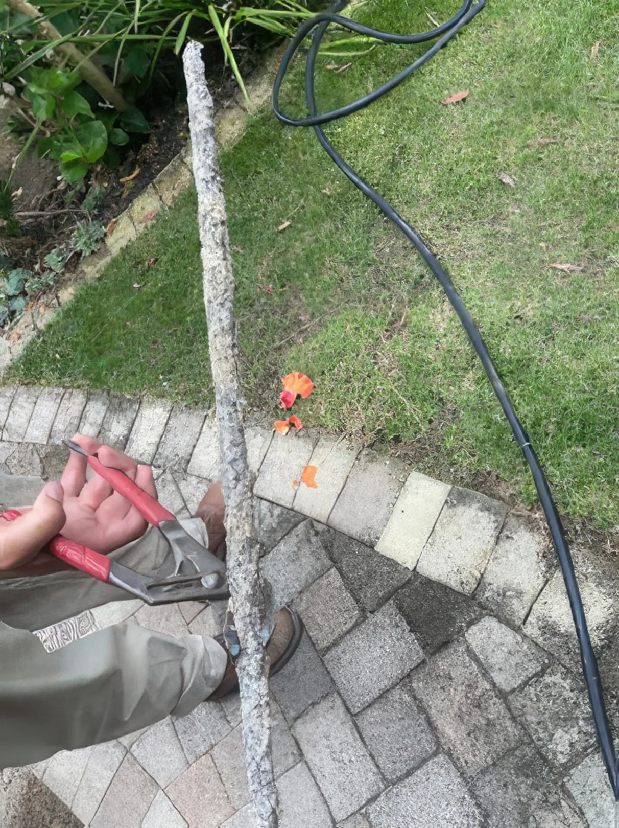 Pristine Plumbing Inc photo 3