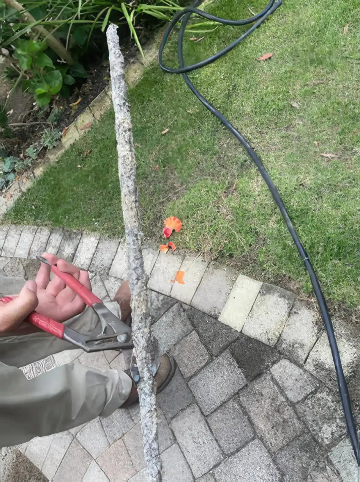 Pristine Plumbing Inc photo 9