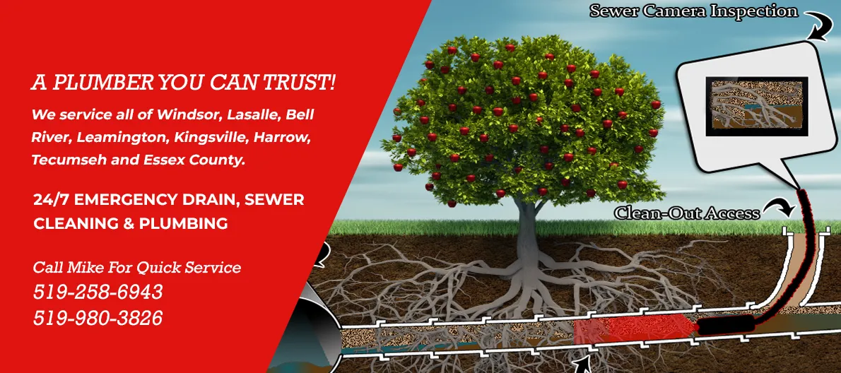 All Star Electric Eel Drainage & Plumbing - Since 1995 photo 5