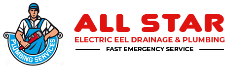 All Star Electric Eel Drainage & Plumbing - Since 1995 logo