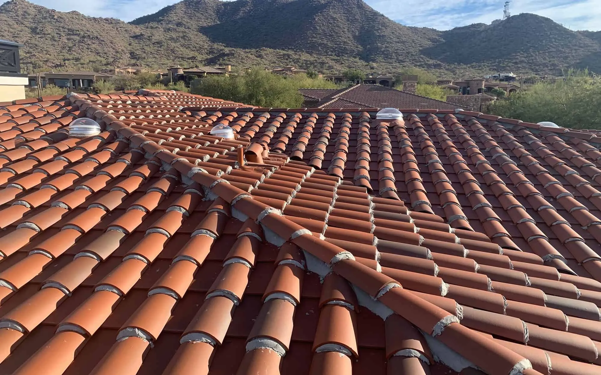 Paramount Kanga Roof photo 1