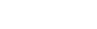 Palmetto Roofers logo