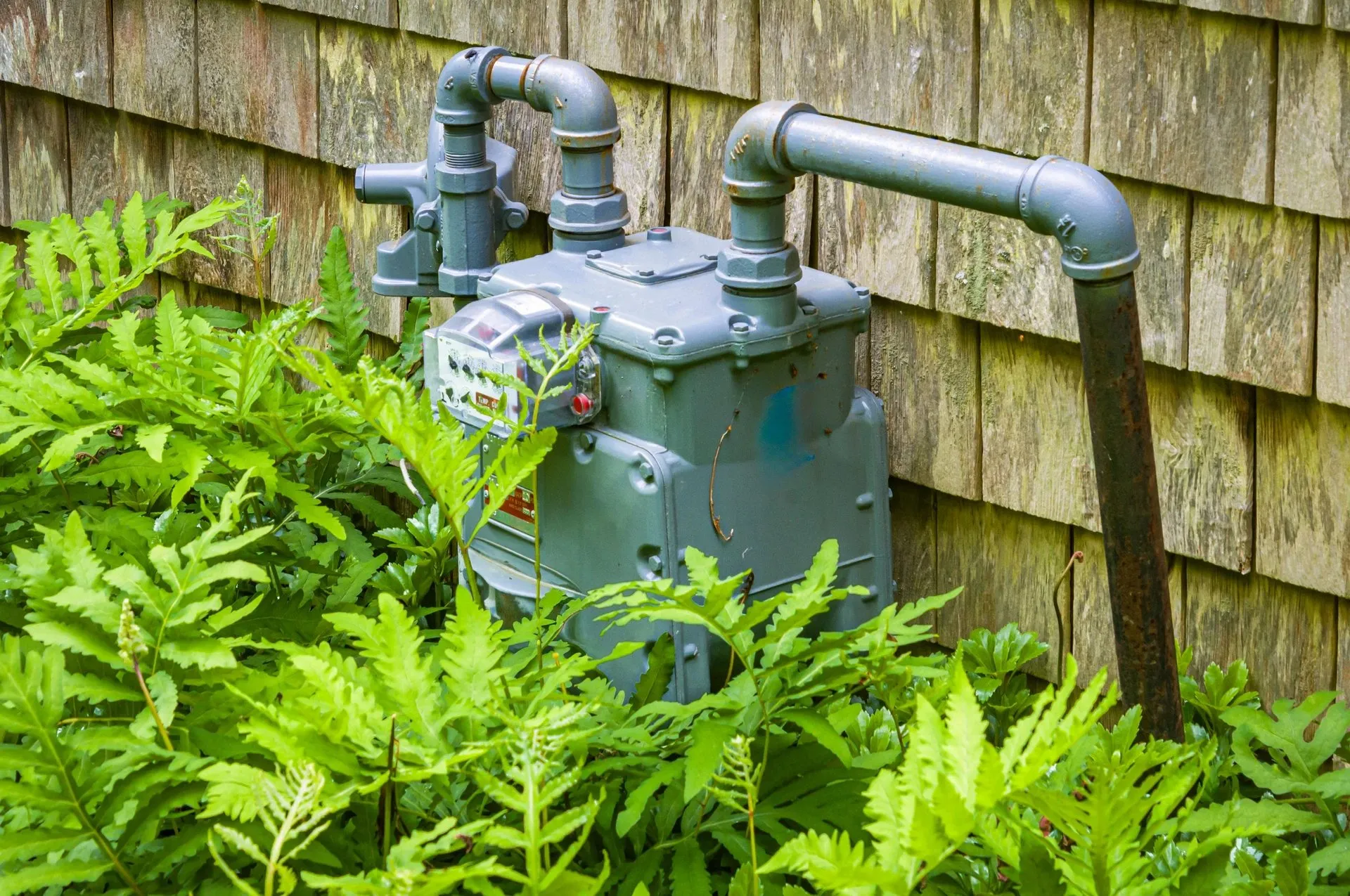 Ace Rooter Plumbing and Drain Services photo 5