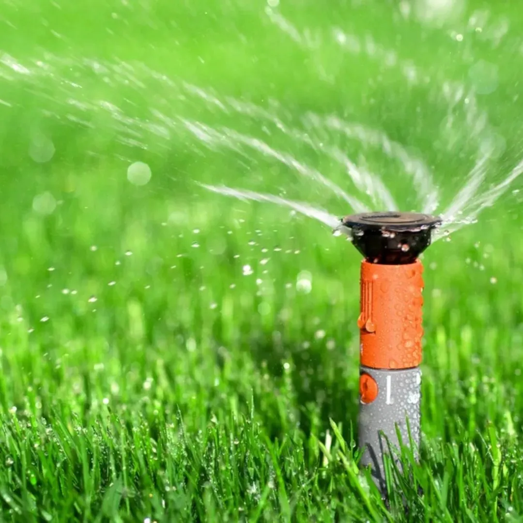 Lionheart Construction photo 8