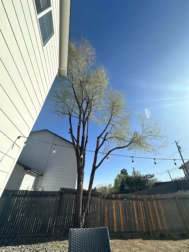 Lionheart Construction photo 1