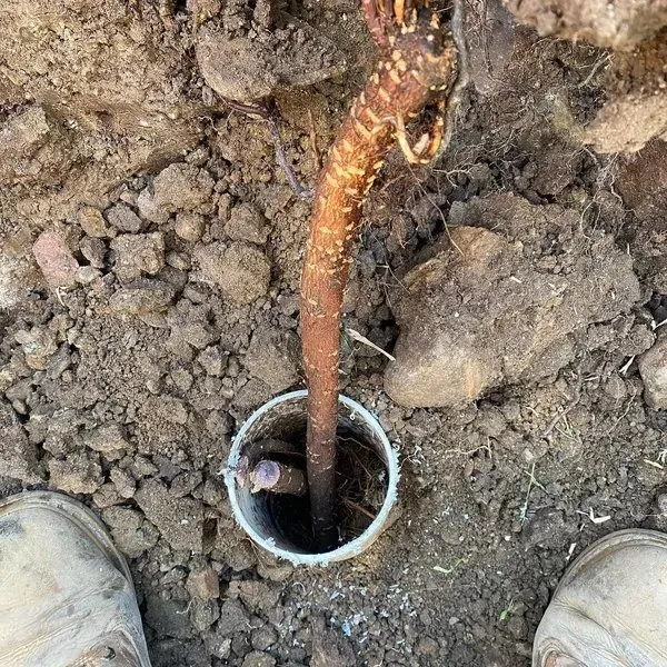 J&L Plumbing Services photo 18