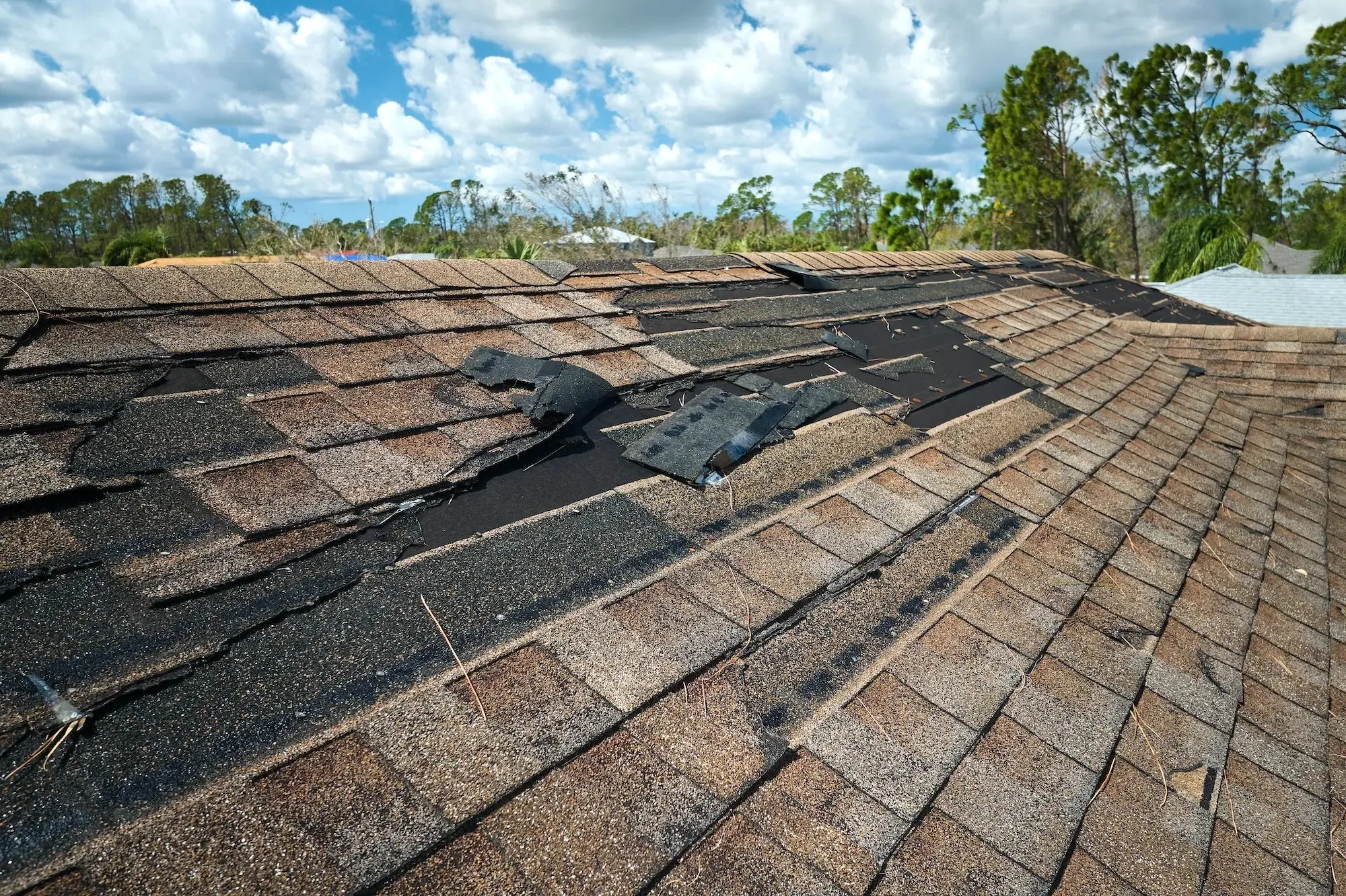 Gurr Brothers Roofing photo 5