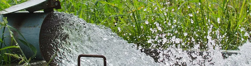 JJ's Plumbing Y2K photo 1