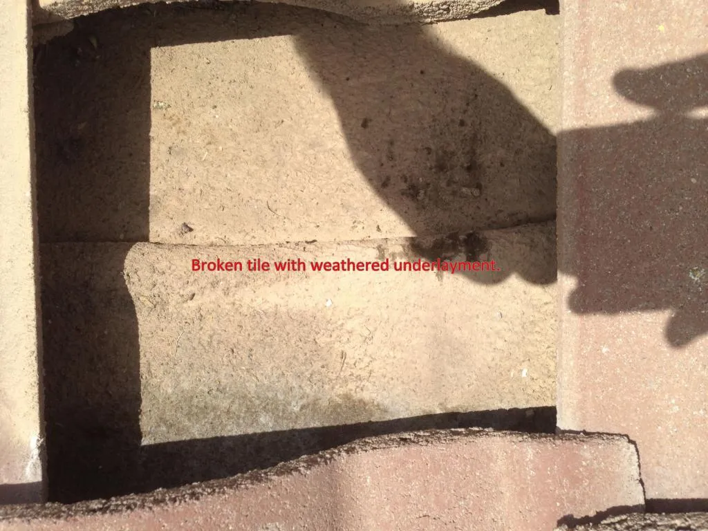 Johnson Roofing Llc photo 2