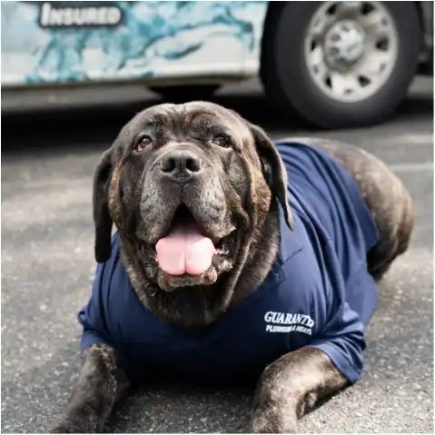 Guaranteed Plumbing & Heating photo 6