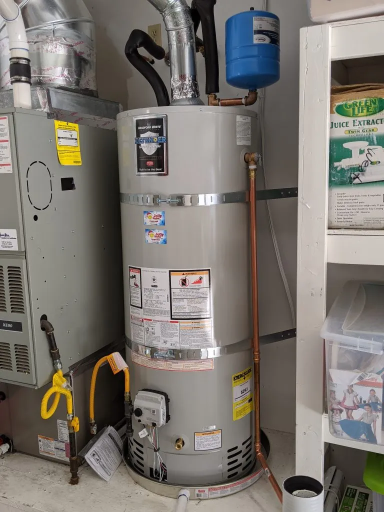 Jolly Rooter photo 11