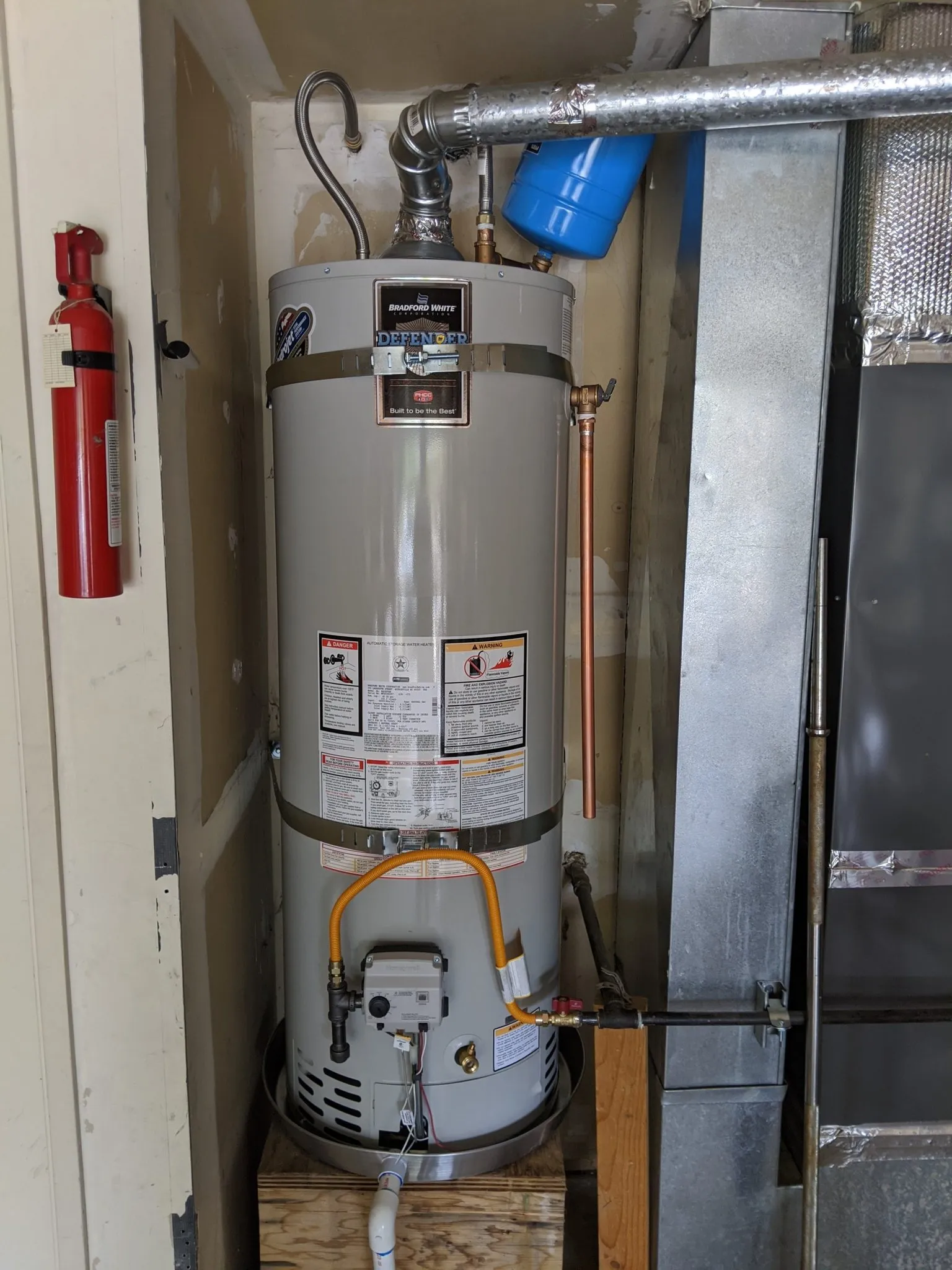 Jolly Rooter photo 6