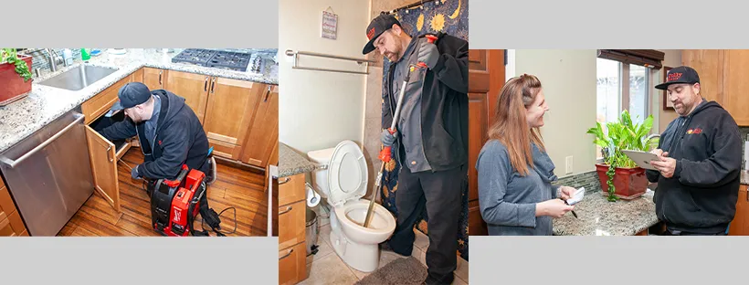 Jolly Rooter photo 2