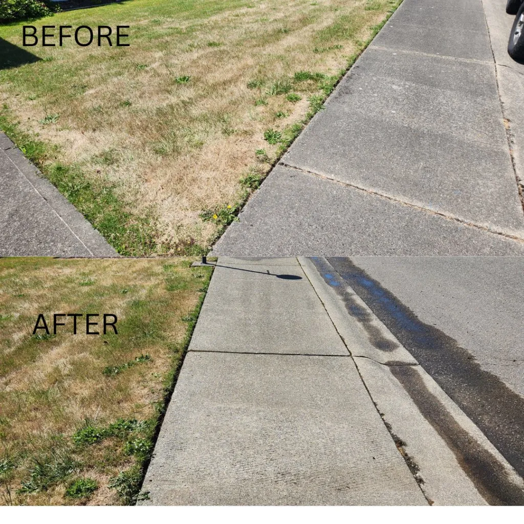 Bear Home Repair photo 18