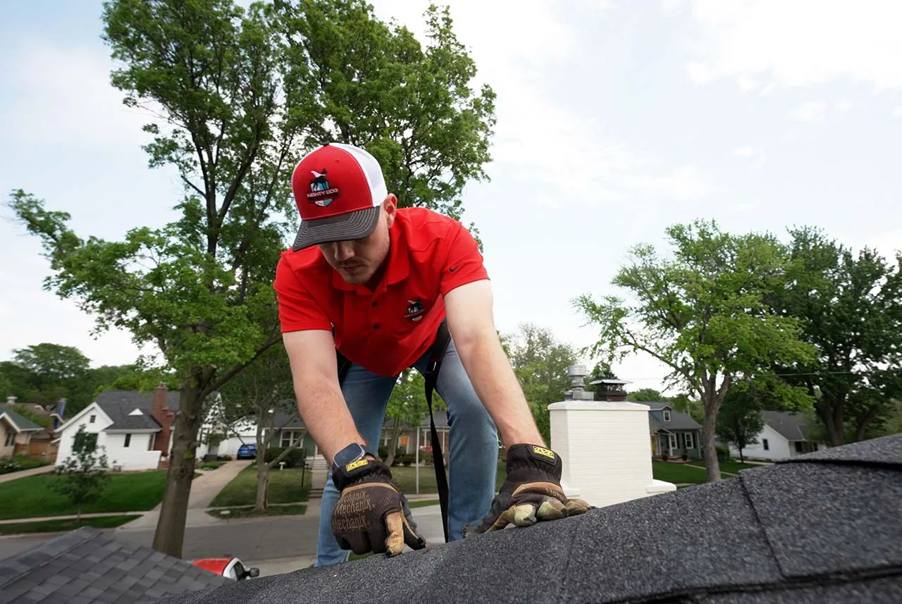 Mighty Dog Roofing of West Pittsburgh photo 7