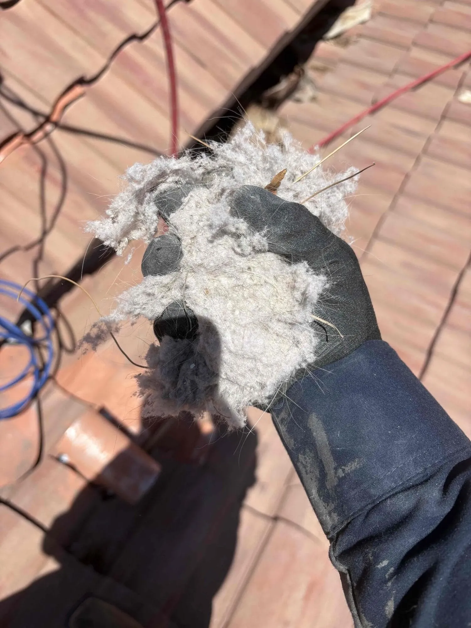 Bob's Repair AC, Heating and Solar Experts Las Vegas photo 4