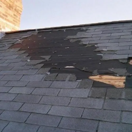 Salter Exteriors photo 3