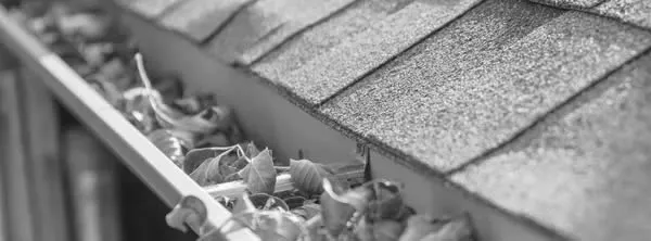 Salter Exteriors photo 6