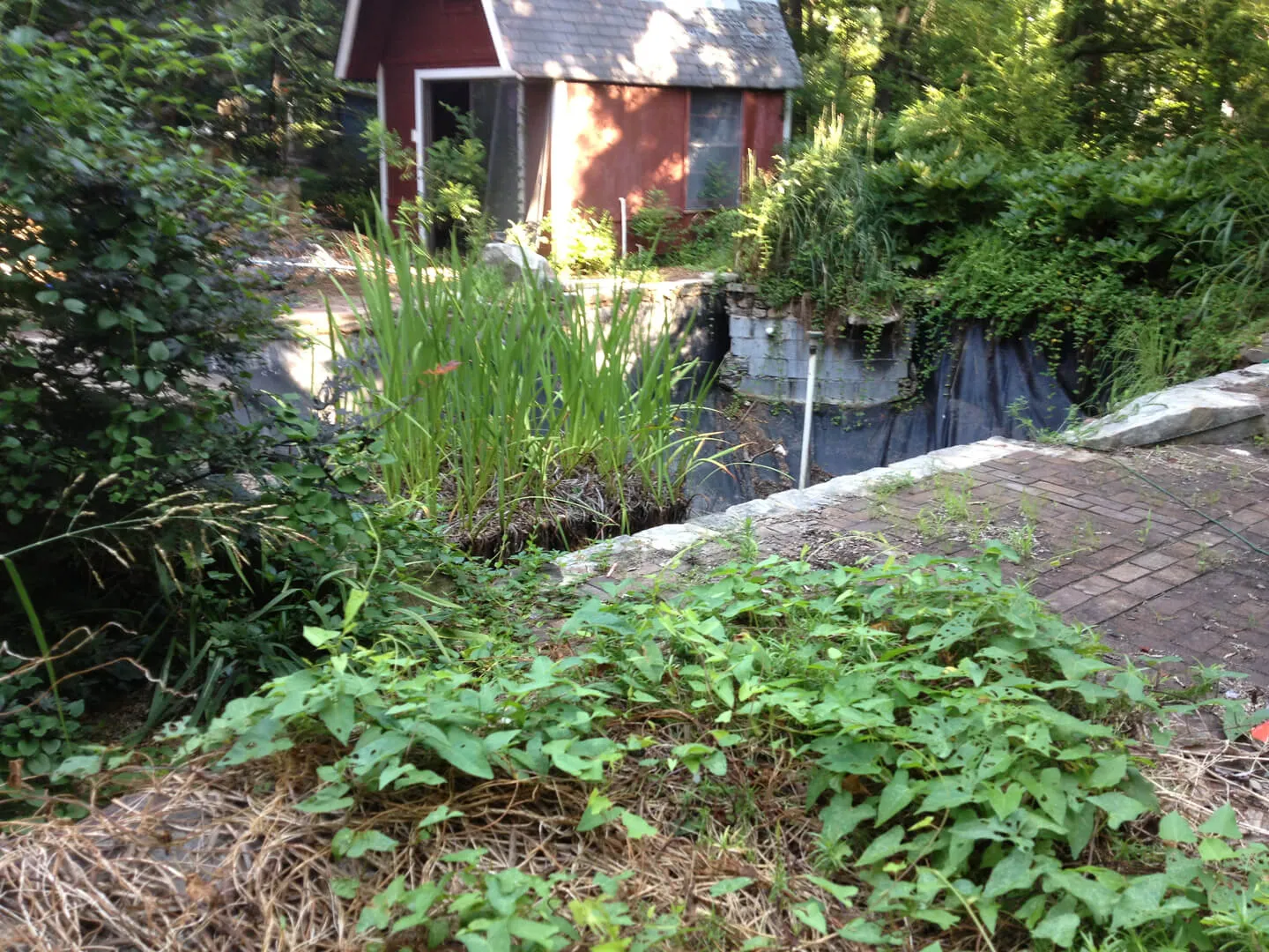 Carolina Pool Renovations photo 16