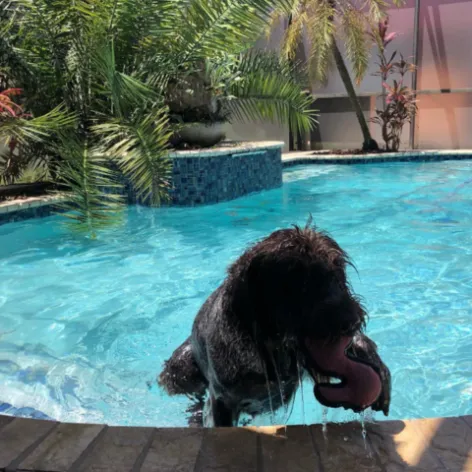 Hallmark Pool & Spa World / Pool Builder Orlando photo 13