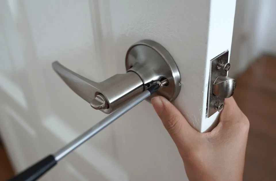 We Do Every Little Thing photo 5