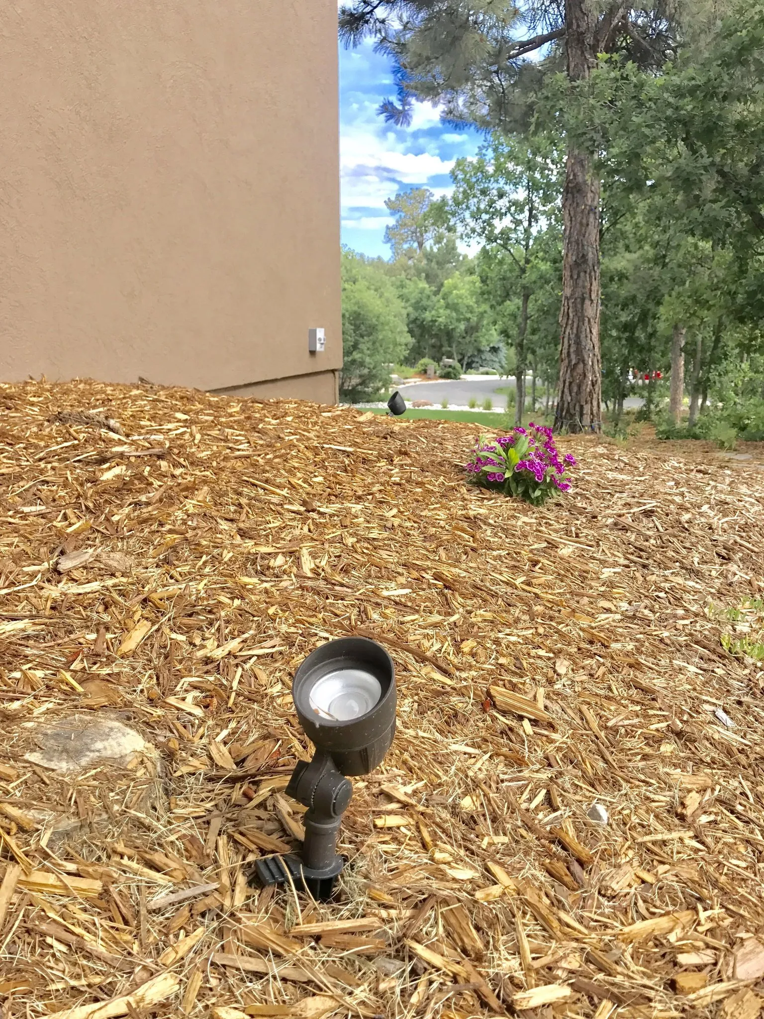 The Electric Way photo 4